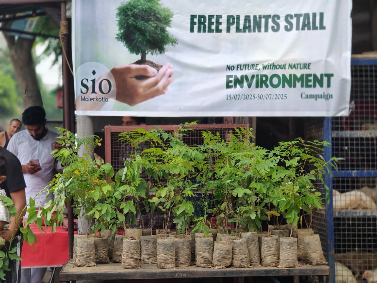 Environment Activities