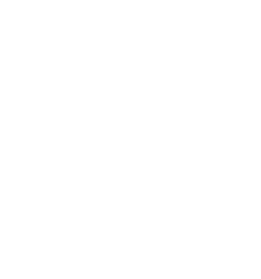 SIO Punjab Logo
