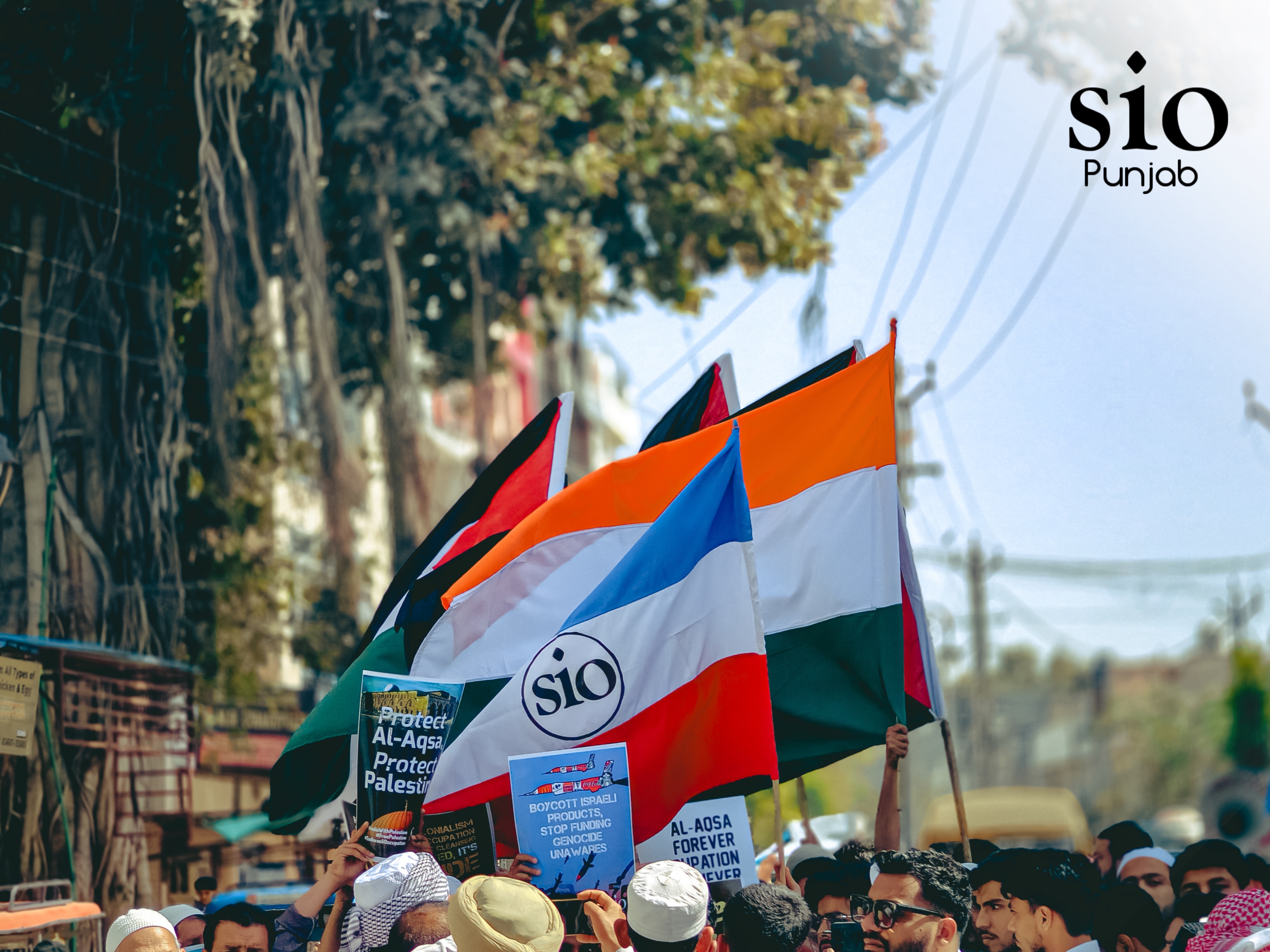 Welcome to SIO Punjab